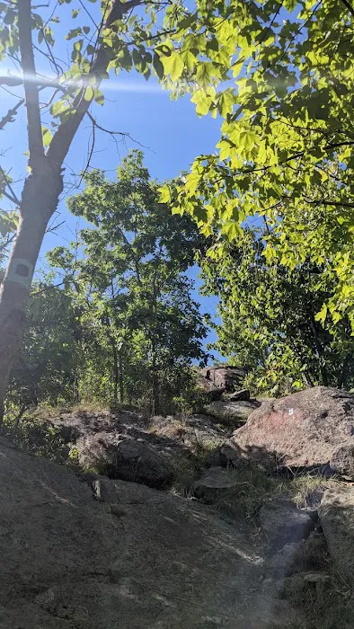 Torne Mtn/Osio Rock Picture 8