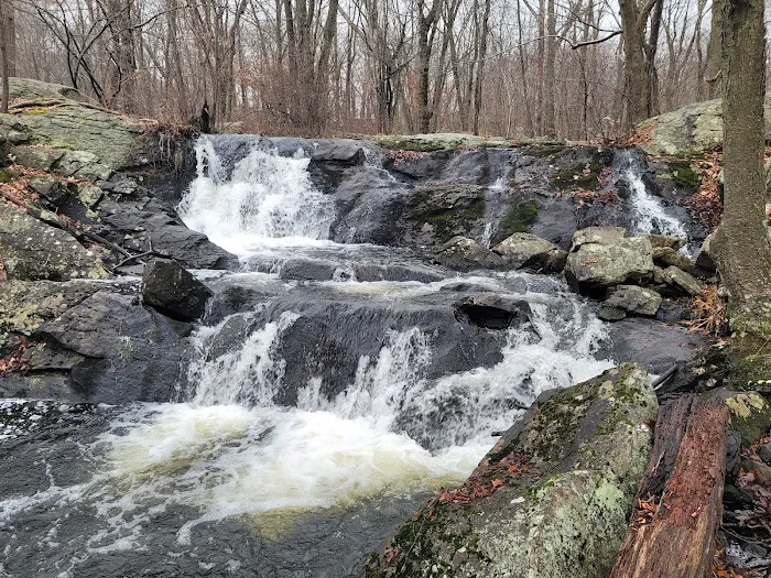 Torne Mtn/Osio Rock Picture 5