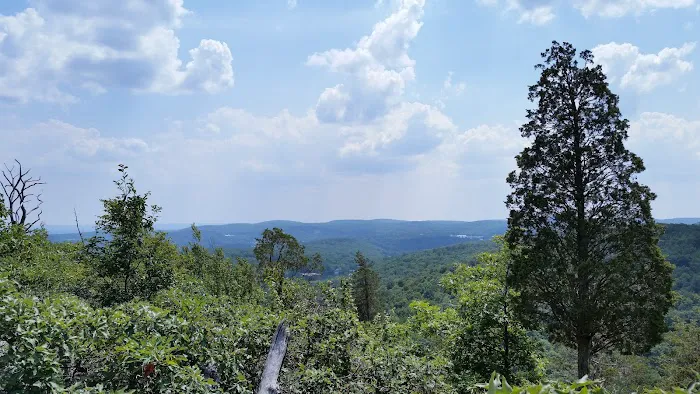 Torne Mtn/Osio Rock Picture 3
