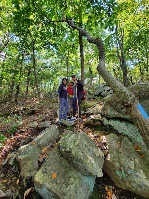 Torne Mtn/Osio Rock Picture 10