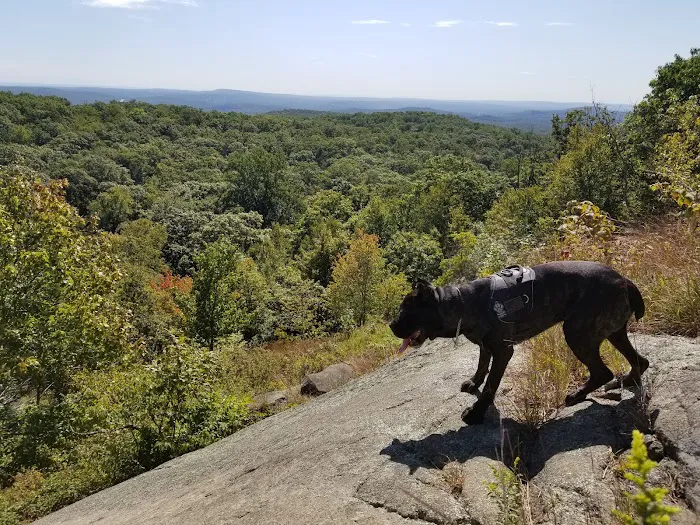 Norvin Green State Forest Otter Hole Parking Lot Picture 2