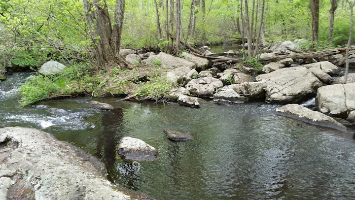 Norvin Green State Forest Otter Hole Parking Lot Picture 8