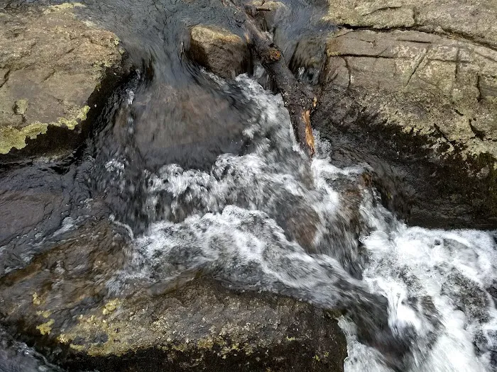 Norvin Green State Forest Otter Hole Parking Lot Picture 6