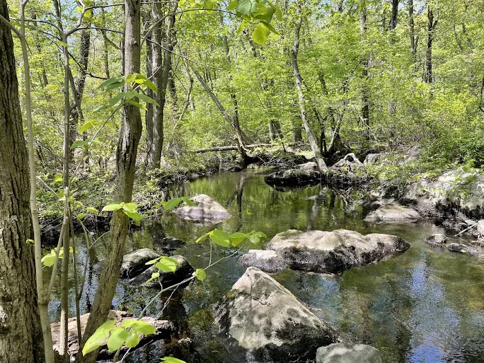 Norvin Green State Forest Otter Hole Parking Lot Picture 5