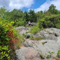 Osio Rock ico