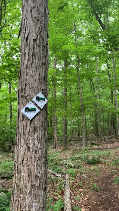 Nancy Conger West Brook Preserve Picture 6