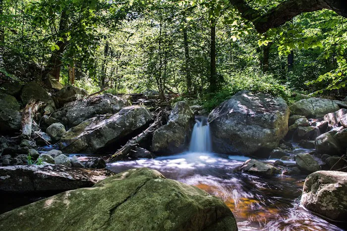 Nancy Conger West Brook Preserve Picture 10
