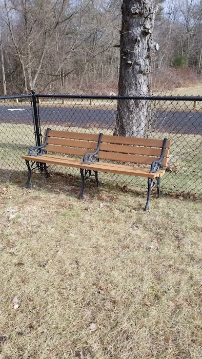 Nosenzo Dog Park Picture 6