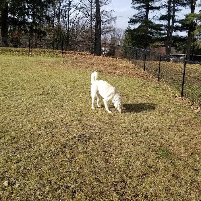 Nosenzo Dog Park Picture 9