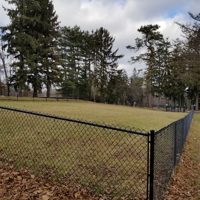 Nosenzo Dog Park Picture 10