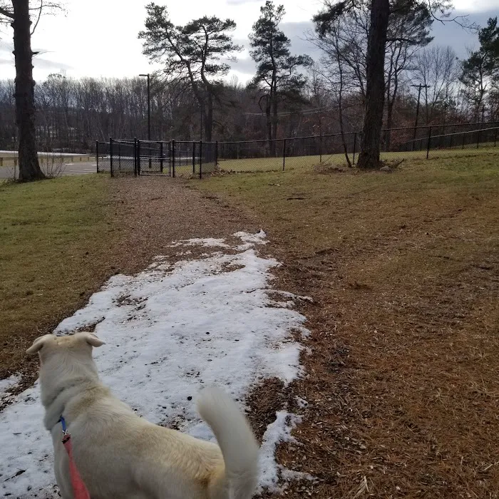 Nosenzo Dog Park Picture 5