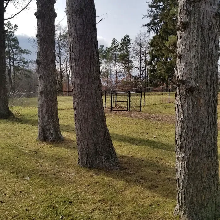 Nosenzo Dog Park Picture 4