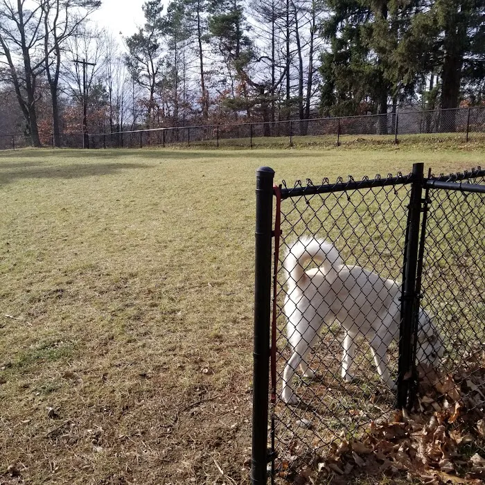 Nosenzo Dog Park Picture 7