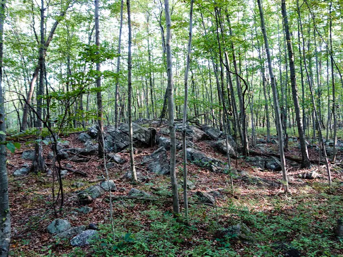 Skyline Preserve Picture 7