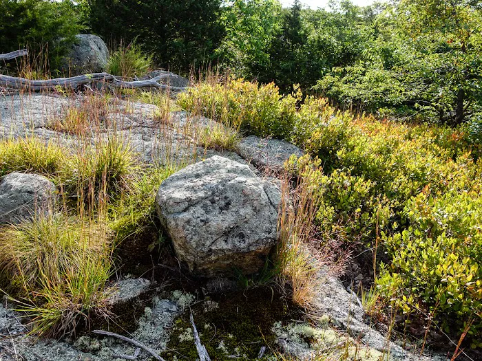 Skyline Preserve Picture 9