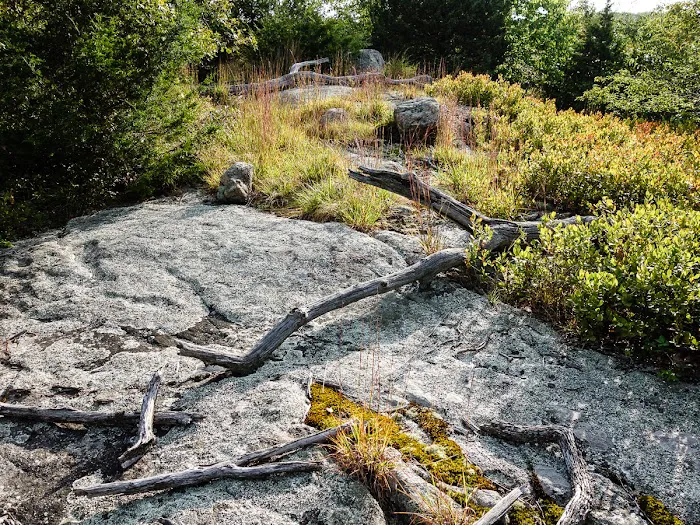 Skyline Preserve Picture 5