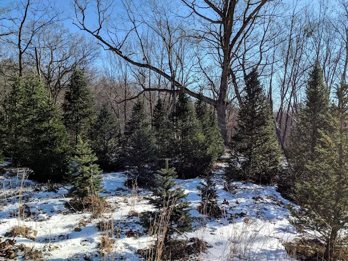 Skyline Preserve Picture 4