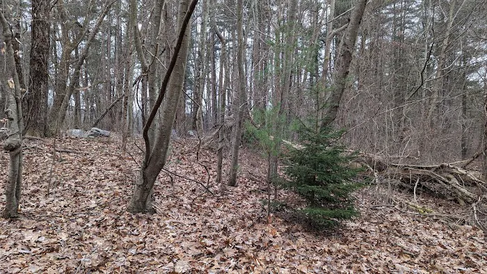 Emerald Forest Property Picture 6