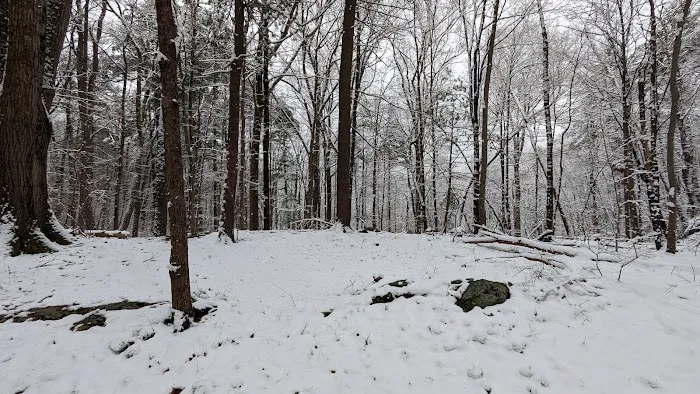 Emerald Forest Property Picture 3