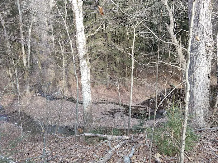 Emerald Forest Property Picture 9
