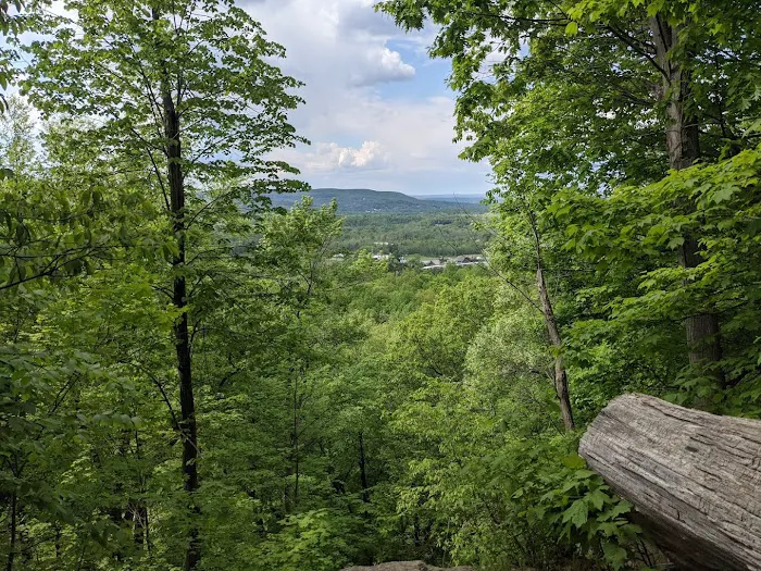 Wawayanda State Park Picture 4