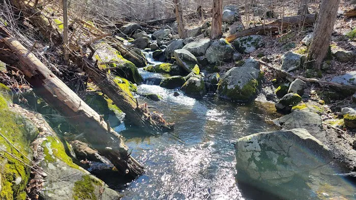 Wawayanda State Park Picture 7