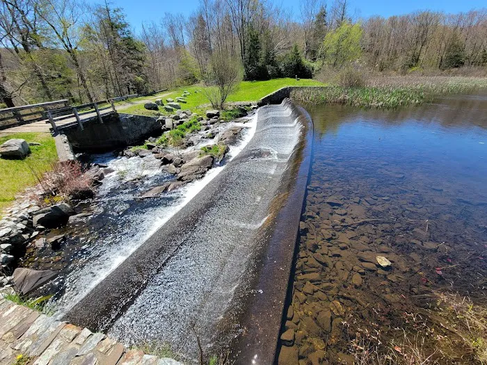 Wawayanda State Park Picture 3