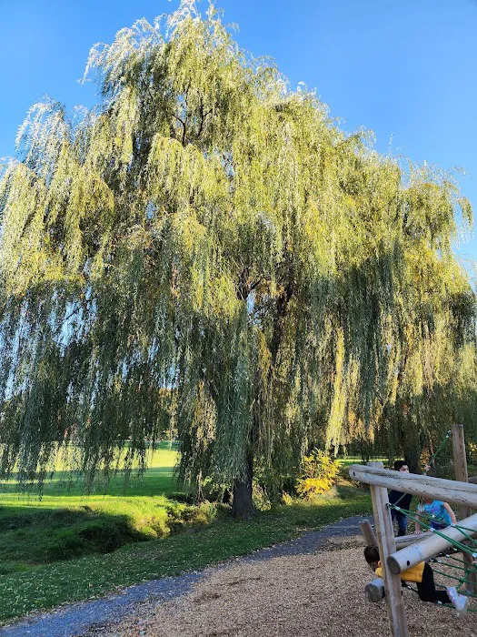 Stanley Deming Park Picture 6