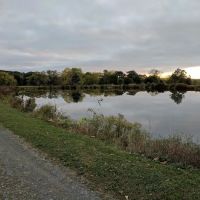 Warwick County Park ico