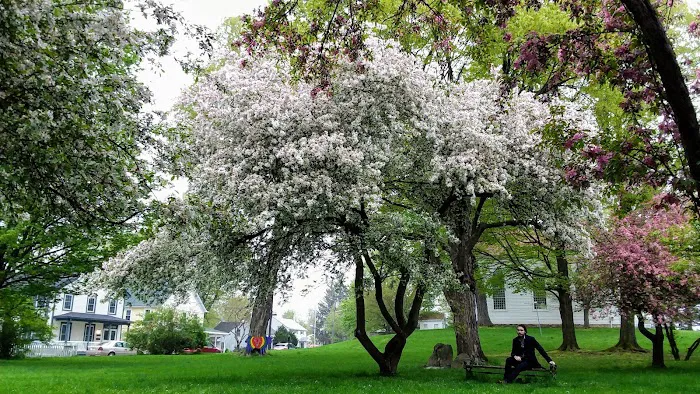 Lewis Park Picture 5