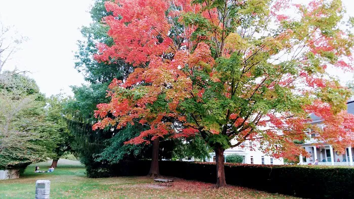 Lewis Park Picture 7