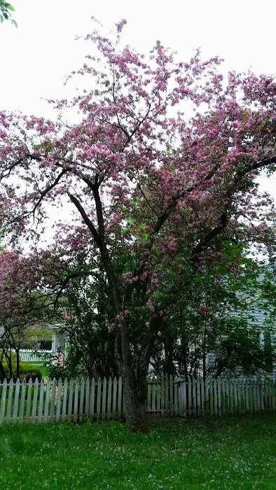 Lewis Park Picture 8