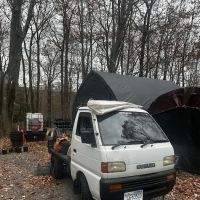 Lewis Park ico