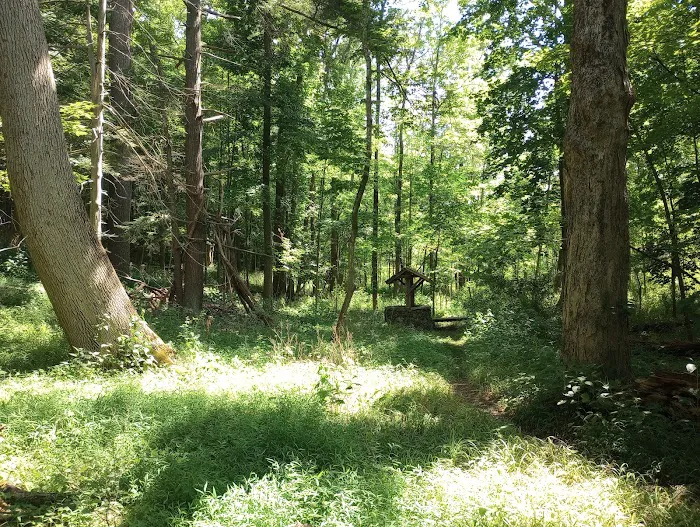 The Madison Lewis Woodlands Picture 8