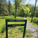 The Madison Lewis Woodlands