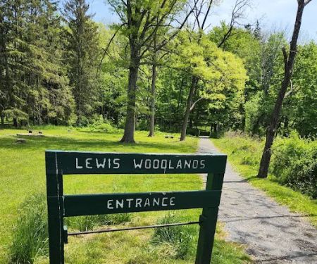 The Madison Lewis Woodlands