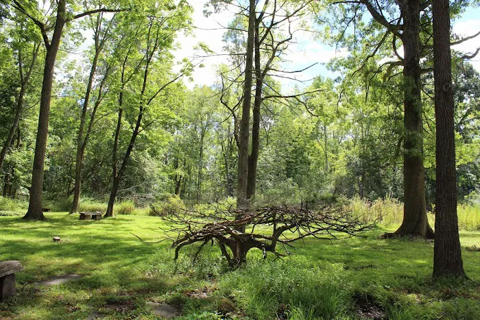 The Madison Lewis Woodlands Picture 9