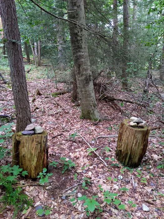 Clinton Trail (yellow) Picture 9
