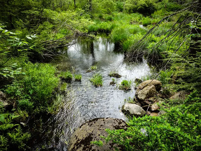 Clinton Trail (yellow) Picture 1