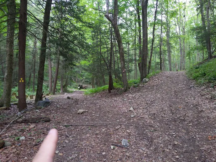 Clinton Trail (yellow) Picture 8