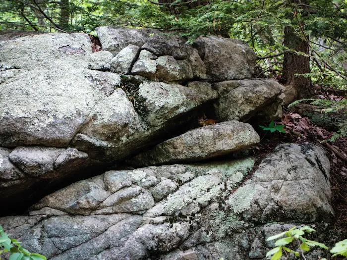 Clinton Trail (yellow) Picture 2