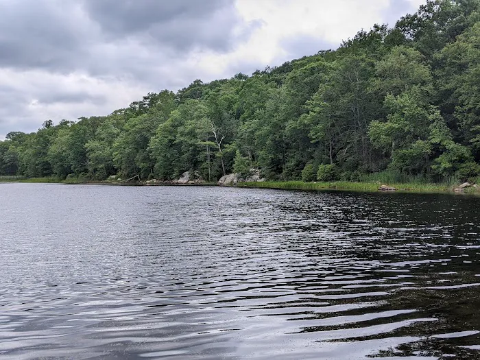 Lookout Lake Picture 5