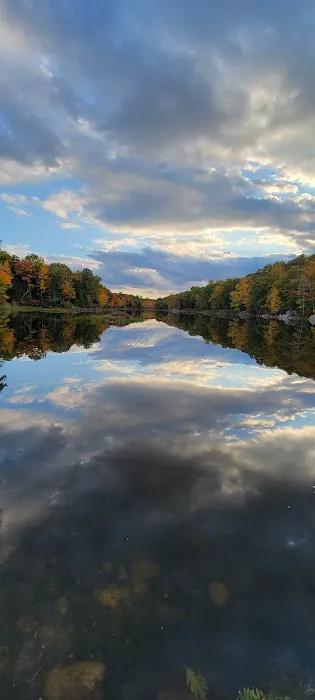 Lookout Lake Picture 2