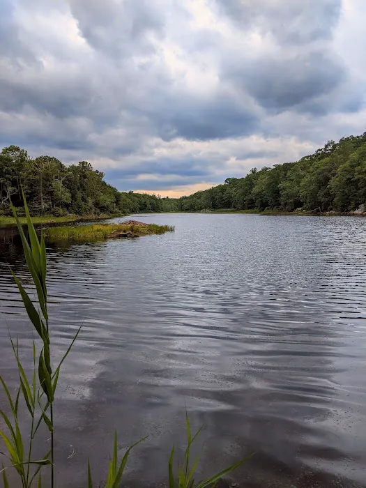 Lookout Lake Picture 4