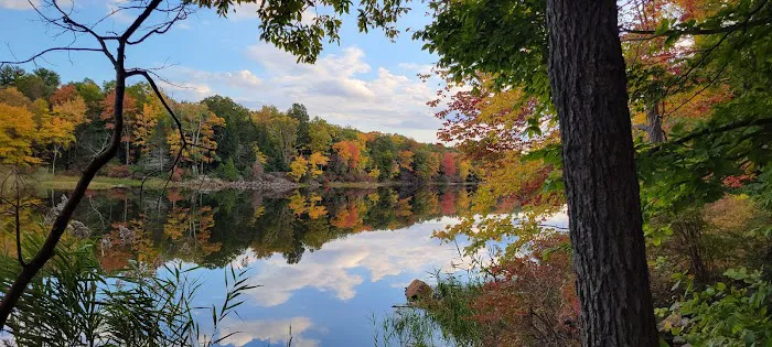 Lookout Lake Picture 1