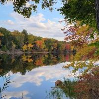 Lookout Lake ico