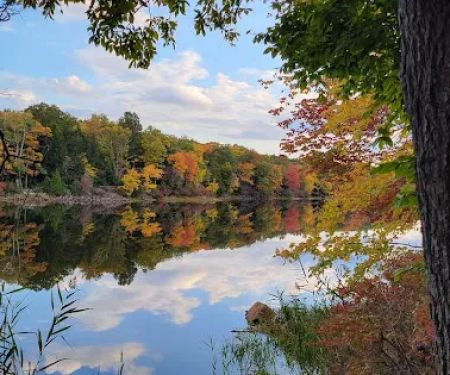 Lookout Lake