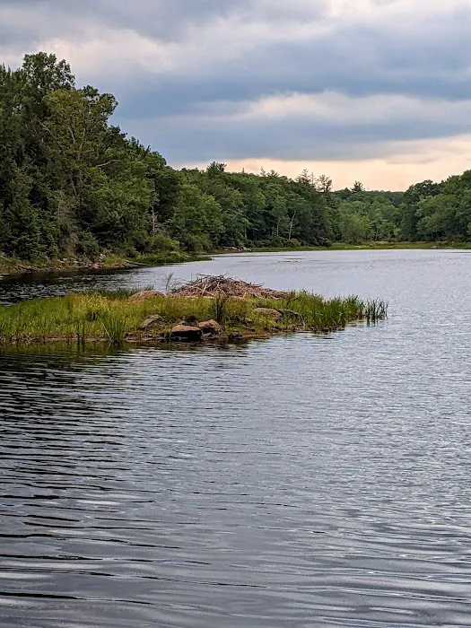 Lookout Lake Picture 3