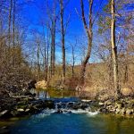 Goosepond Mountain State Park