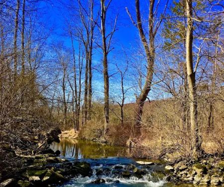 Goosepond Mountain State Park